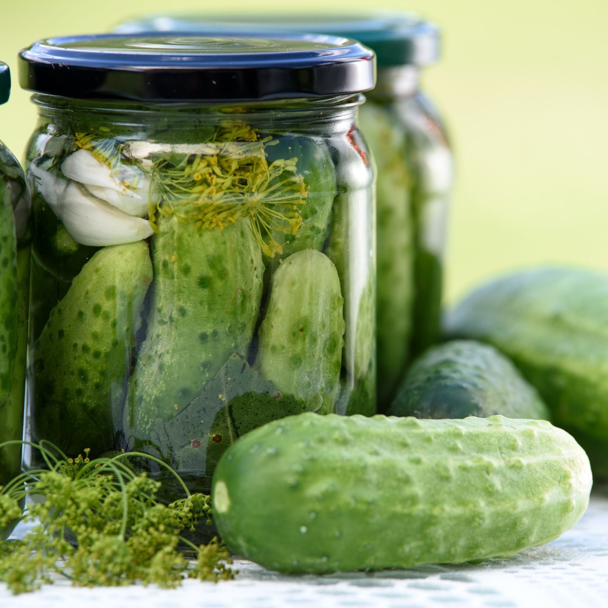 OG National Pickling
