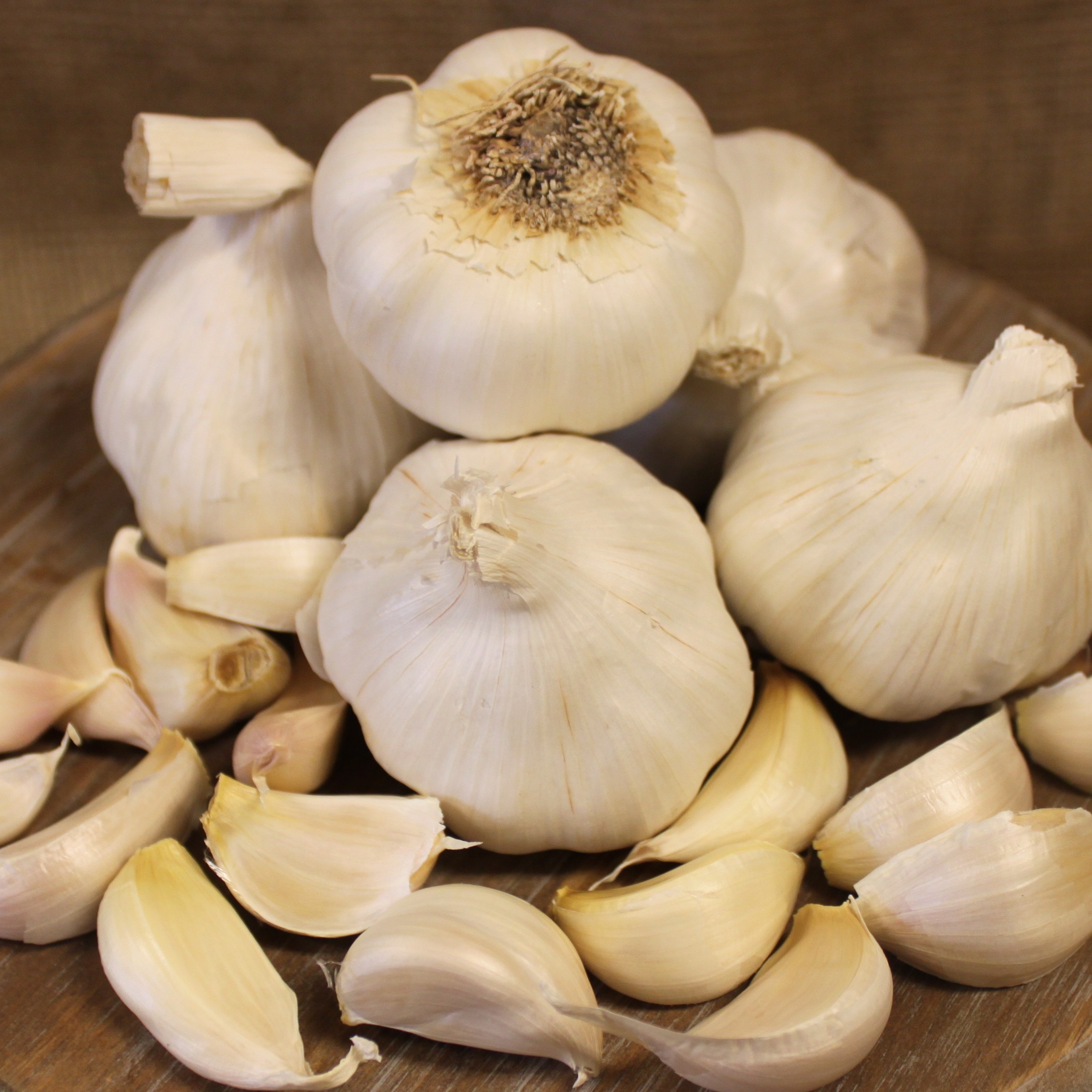 OG Italian Late Garlic