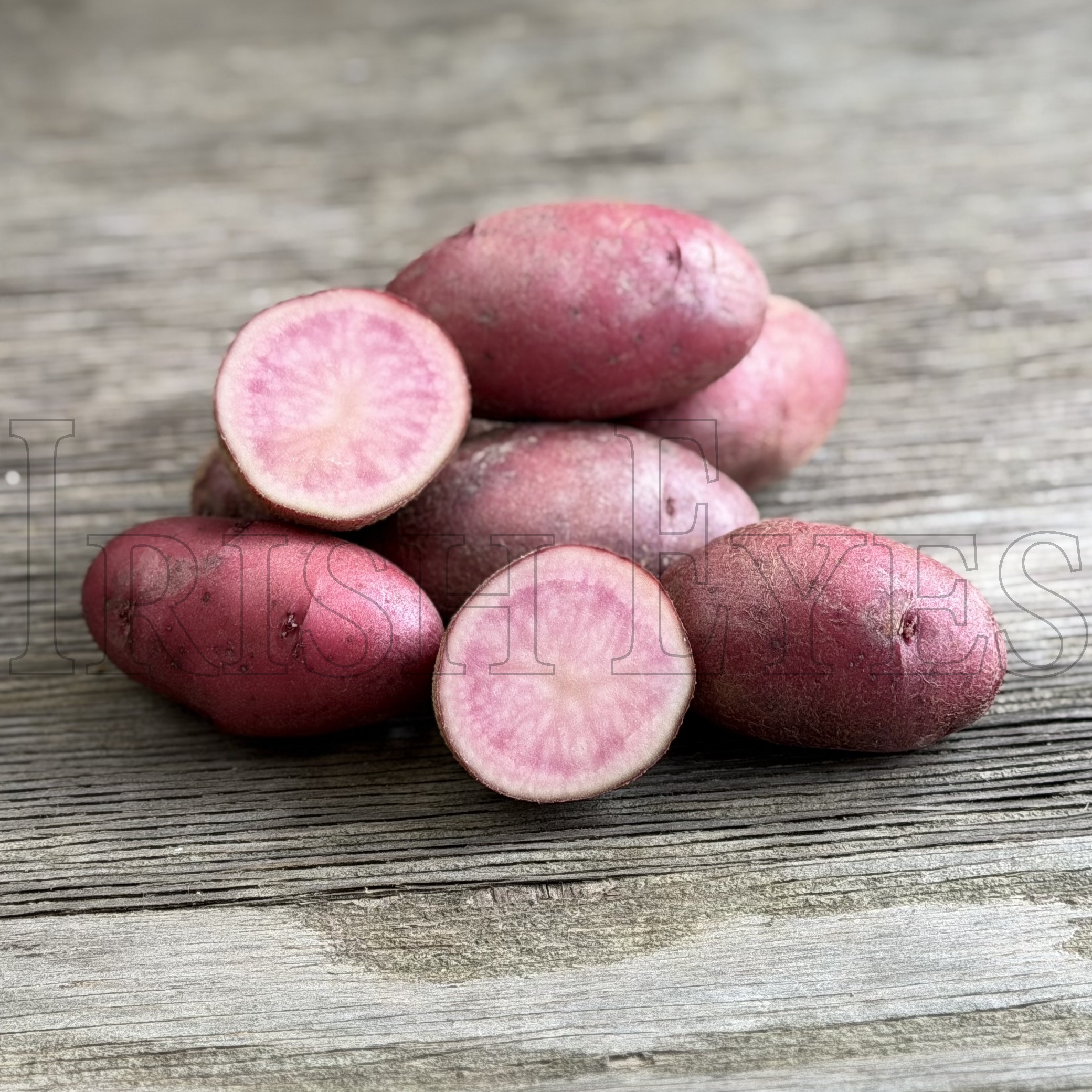 OG Red Thumb Fingerling