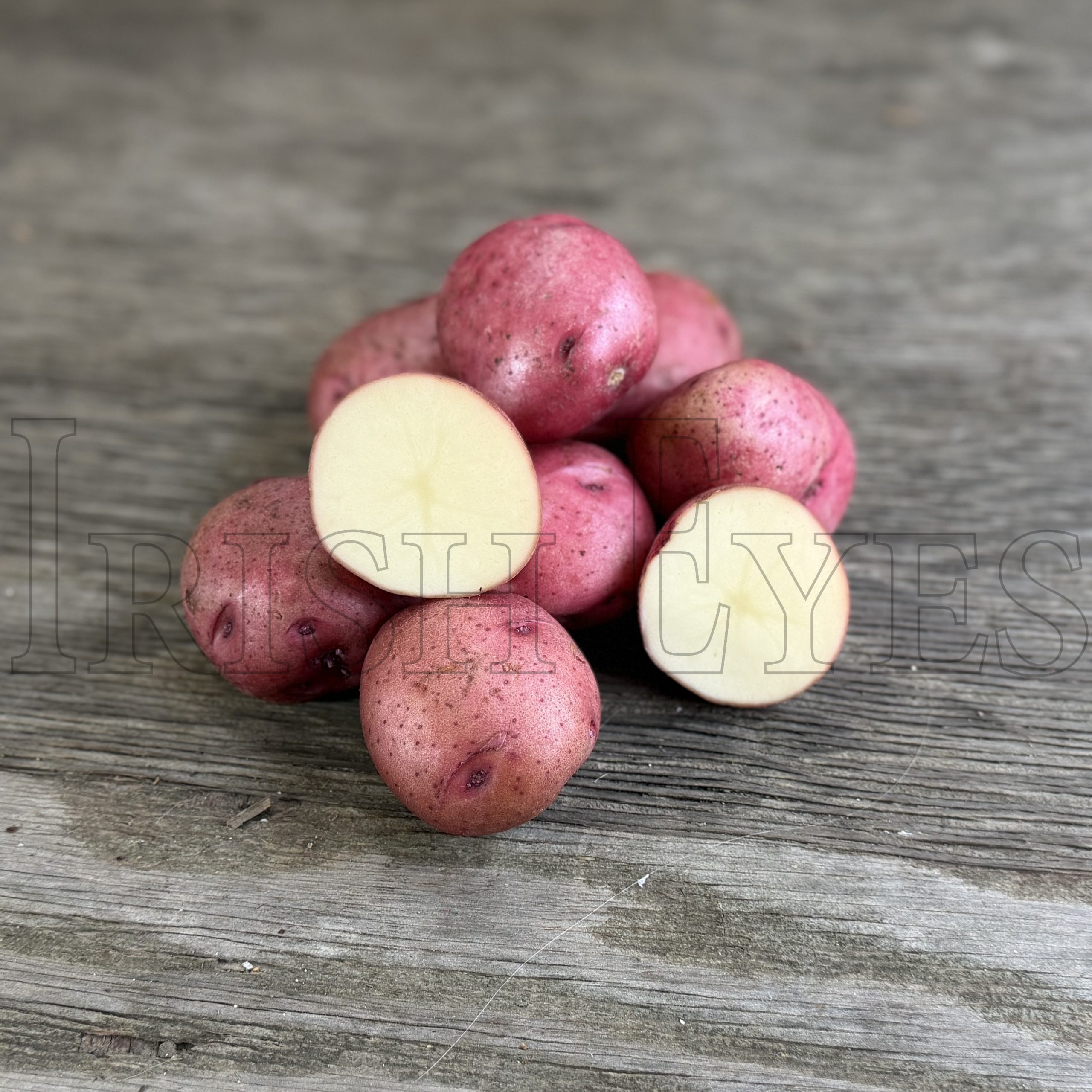 OG Red Norland Potato