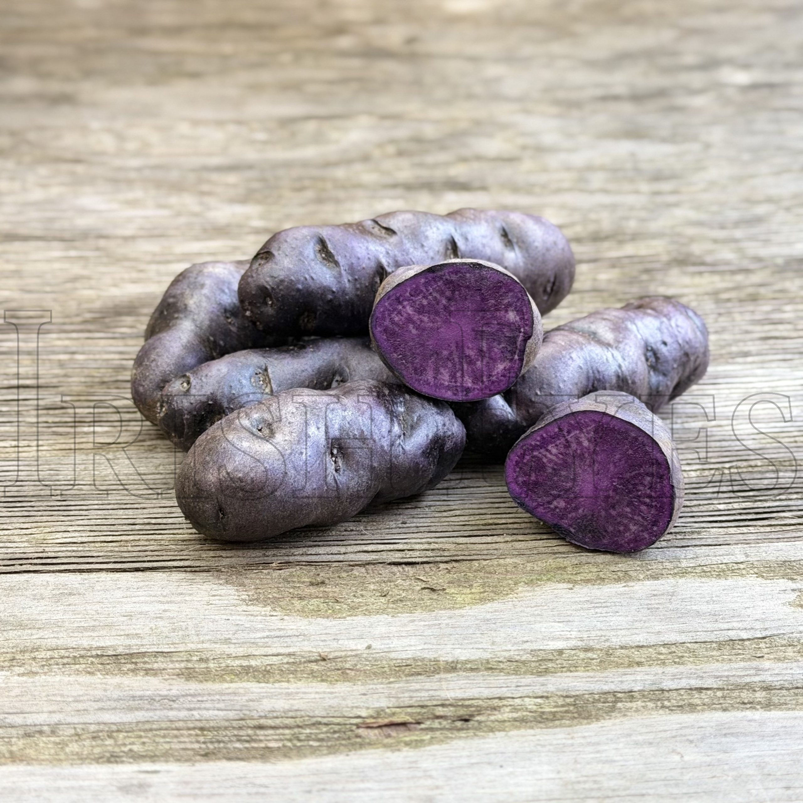 OG Purple Peruvian Fingerling