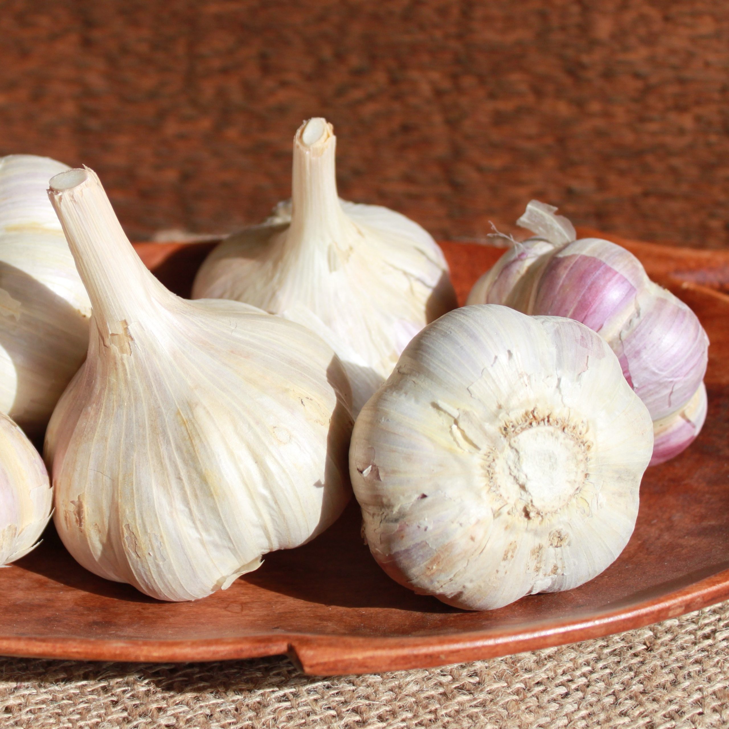 Musik Garlic