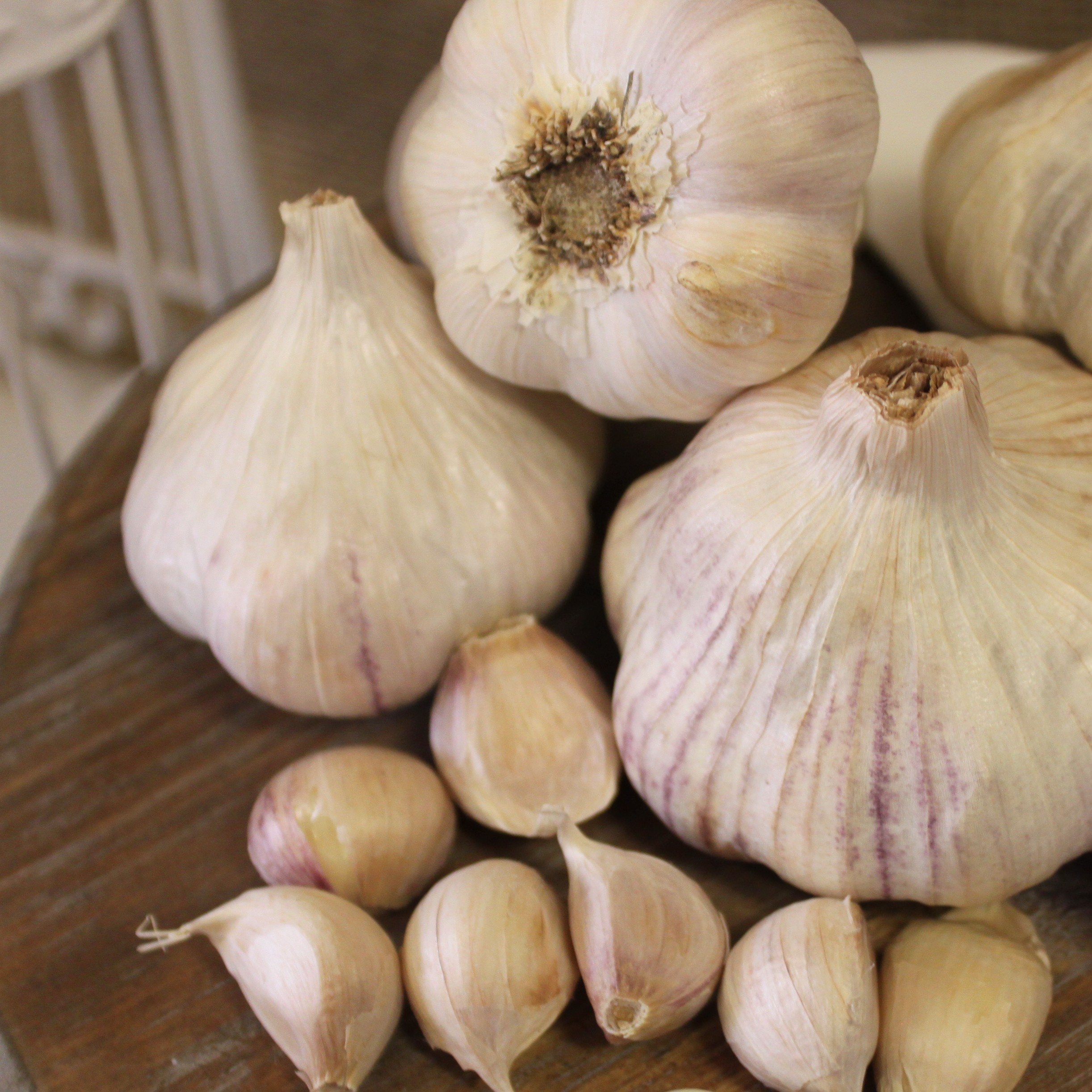 German Porcelain Garlic