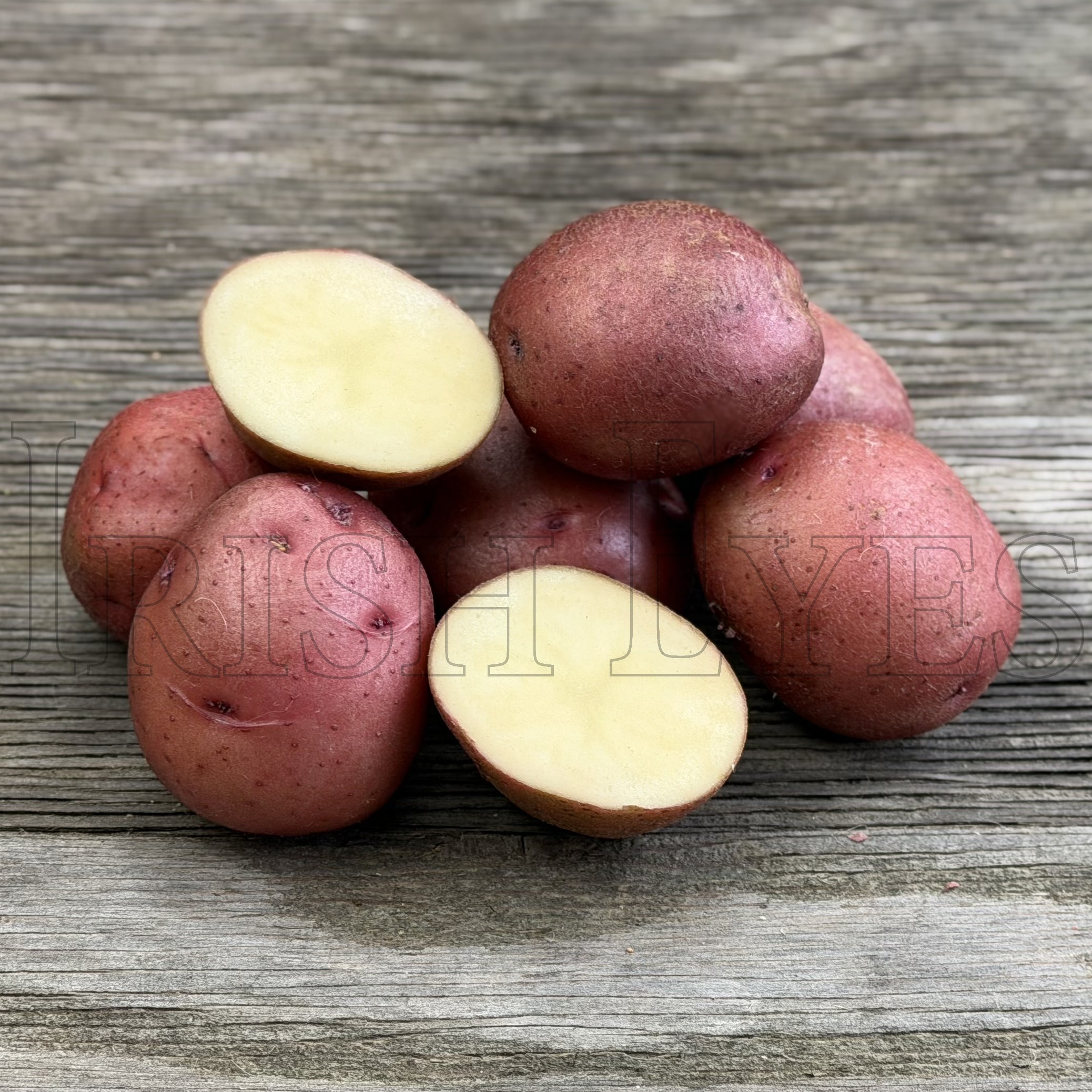 OG Red LaSoda Potato