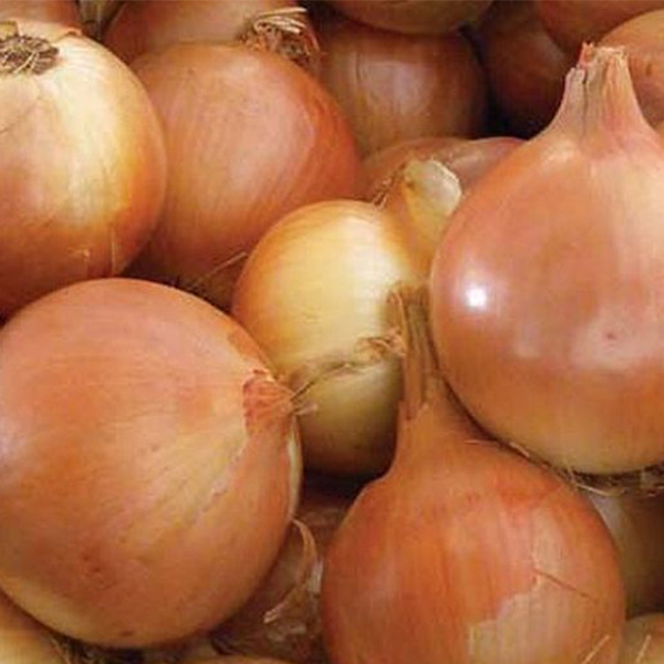 OG Patterson Transplant