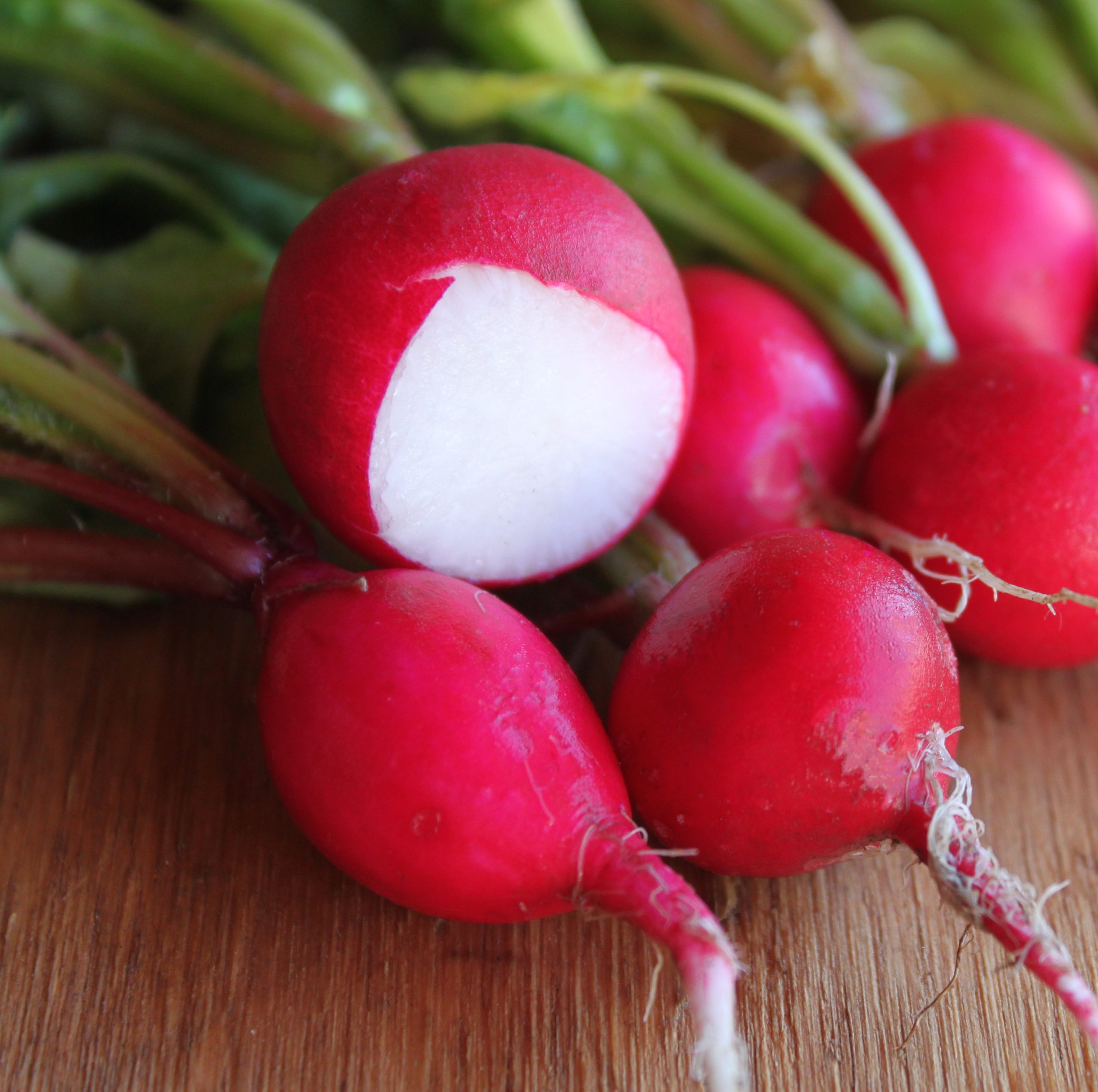 OG Crimson Giant Radish