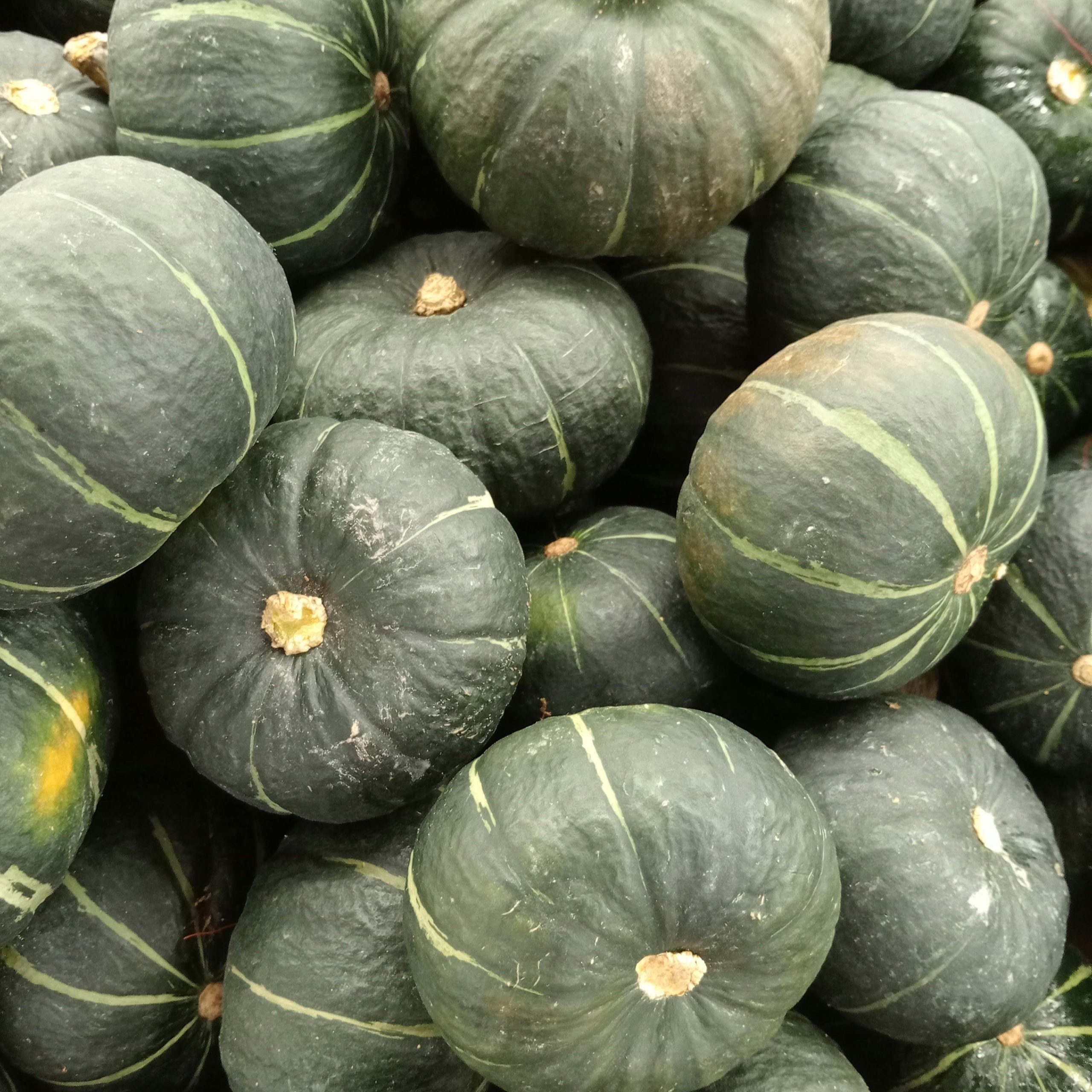 OG Burgess Buttercup Squash