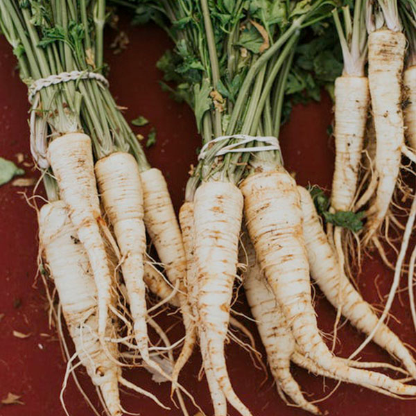 OG Harris Model Parsnip