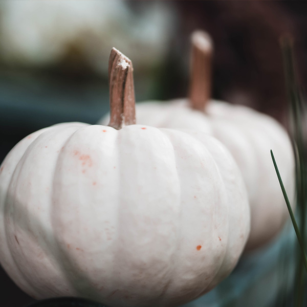 OG Casper Pumpkin