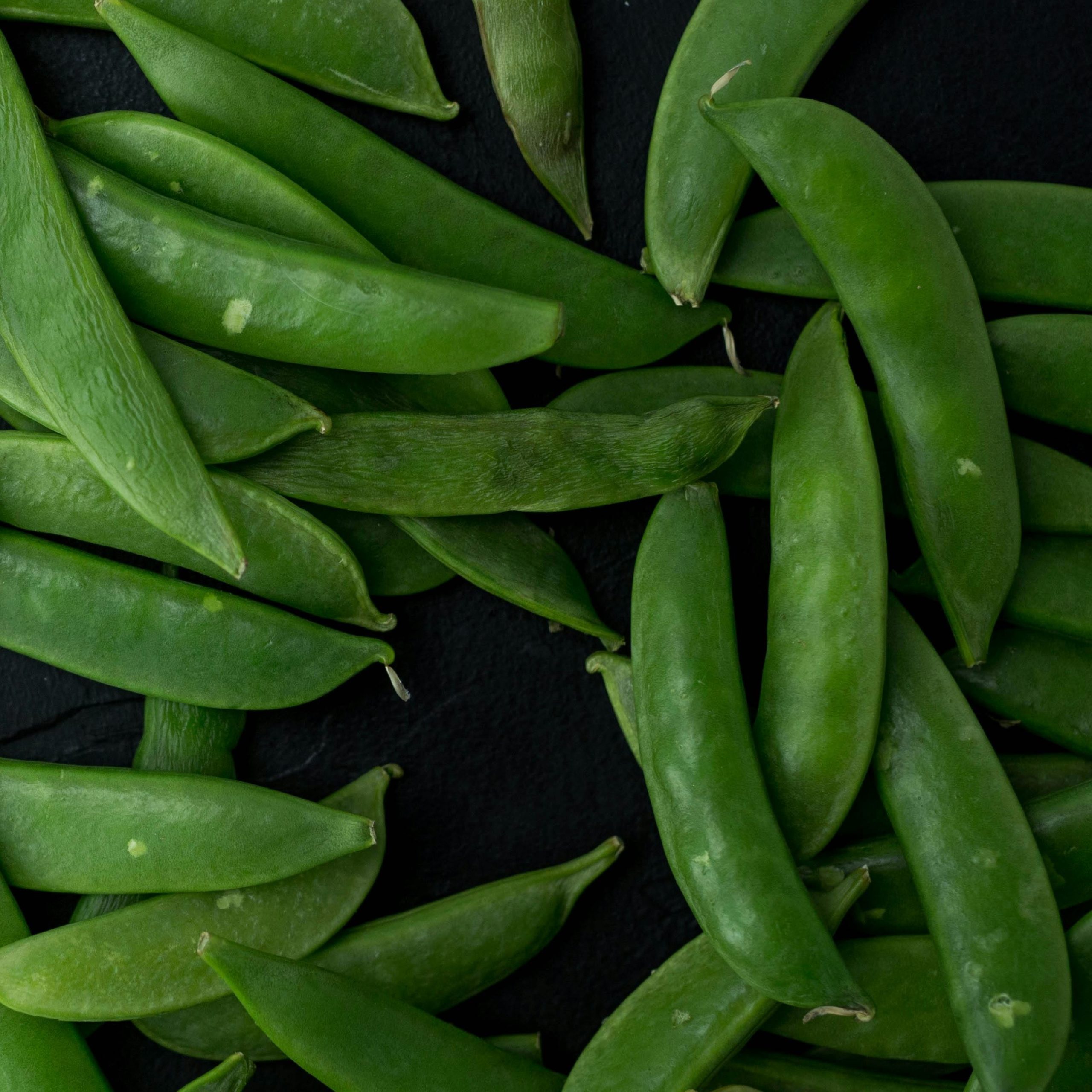 OG Sugar Daddy Snap Pea