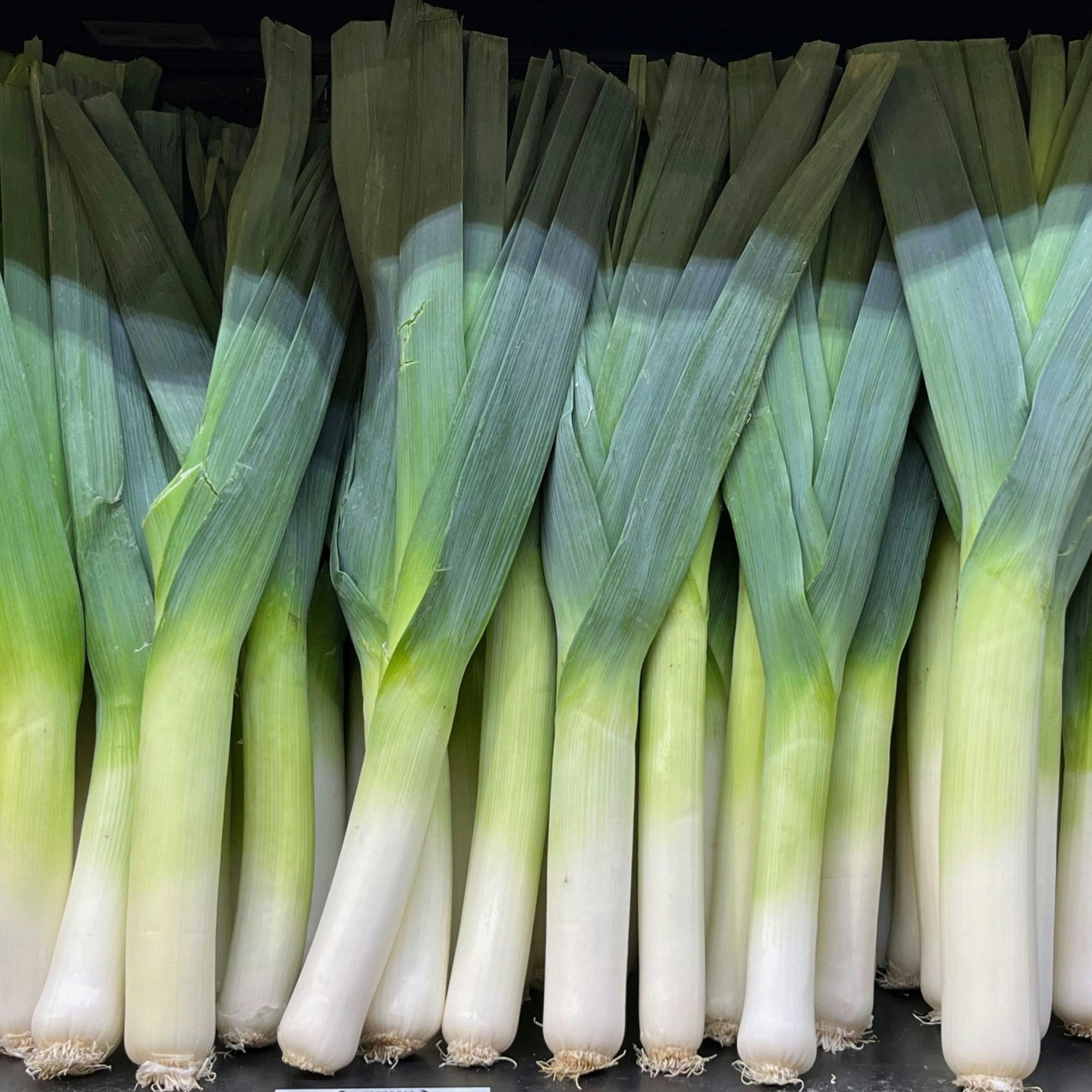 OG King Richard Leek