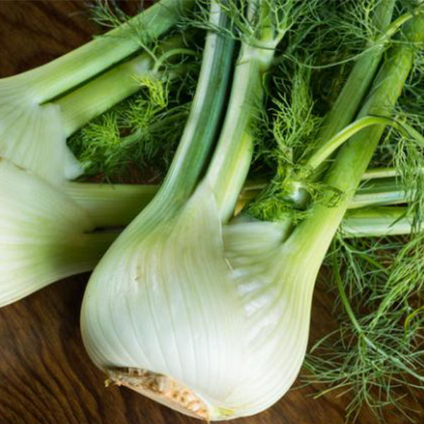 OG Fennel
