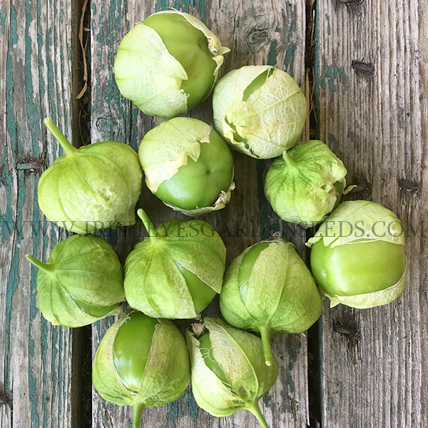 OG Green Husk Tomatillo