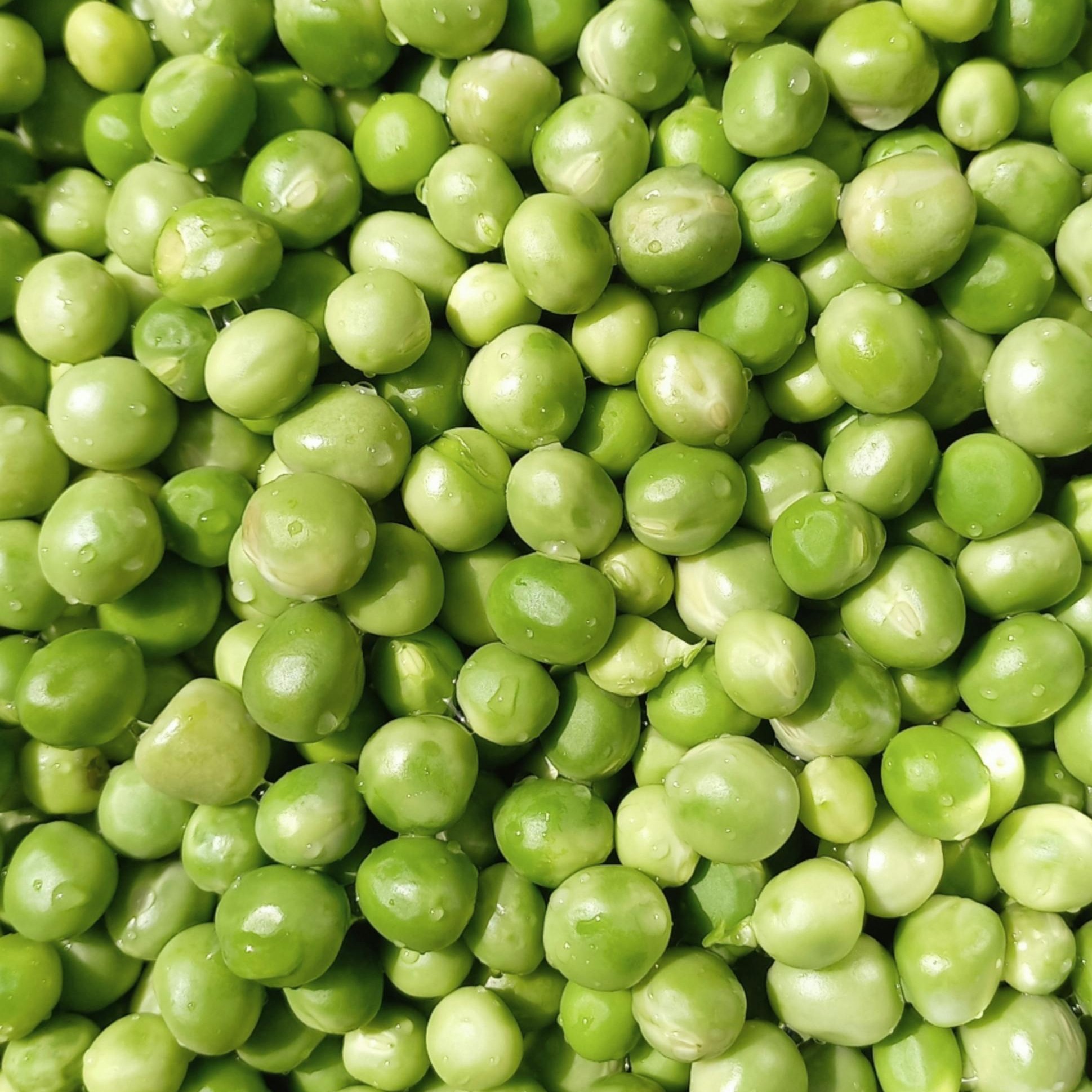 OG Blue Shelling Pea