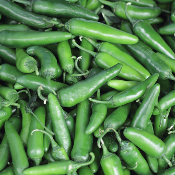 Serrano Tampiqueño Pepper