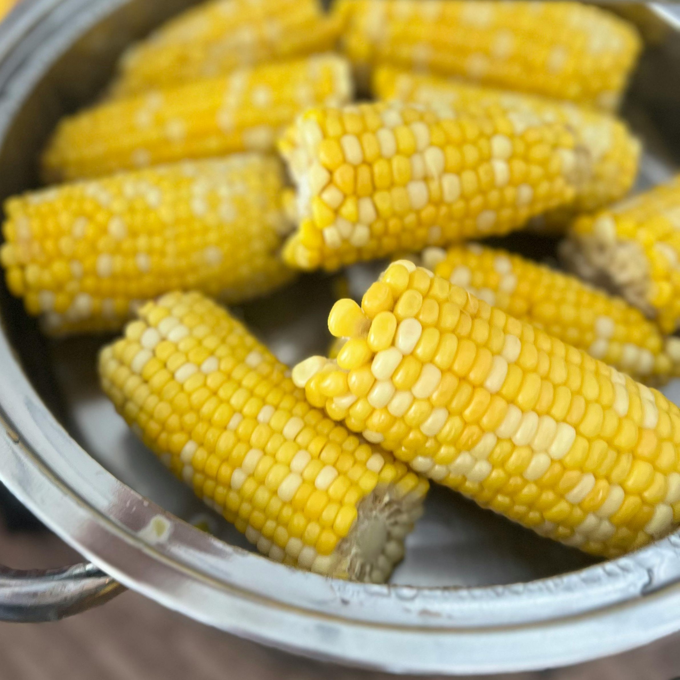 Bi-licious F-1 Corn
