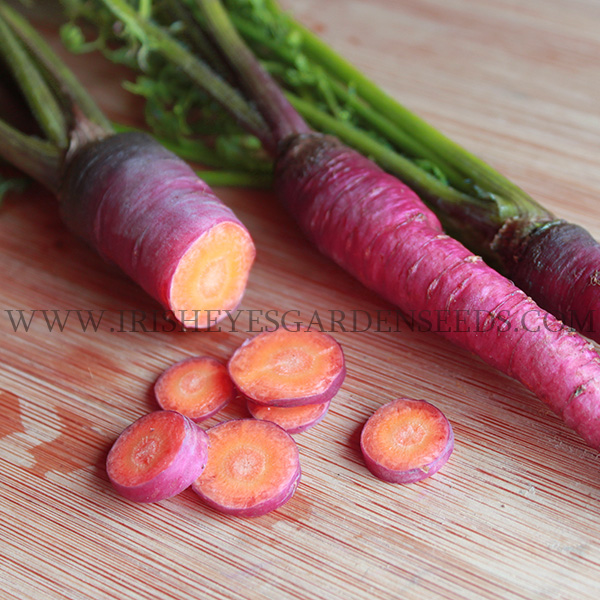 OG Cosmic Purple Carrot