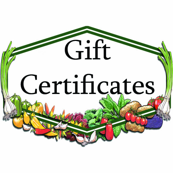 Irish Eyes Gift Card