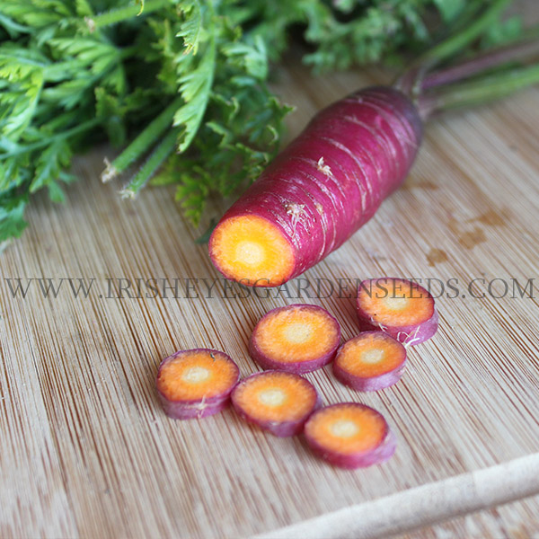 OG Dragon Carrot