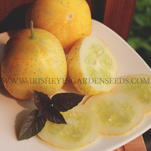 OG Lemon Cucumber