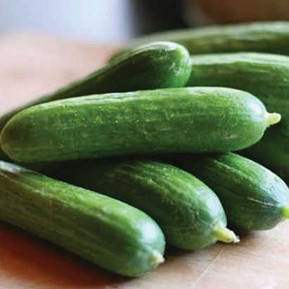 OG Straight 8 Cucumber
