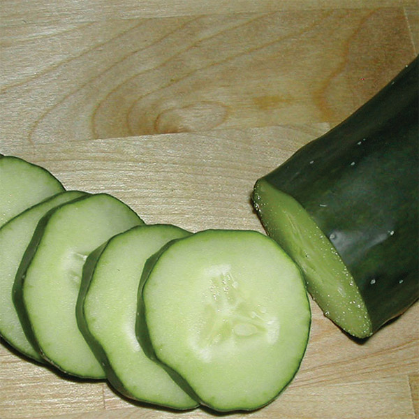OG Marketmore 76 Cucumber