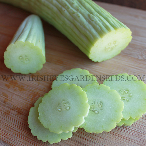 OG Armenian Cucumber