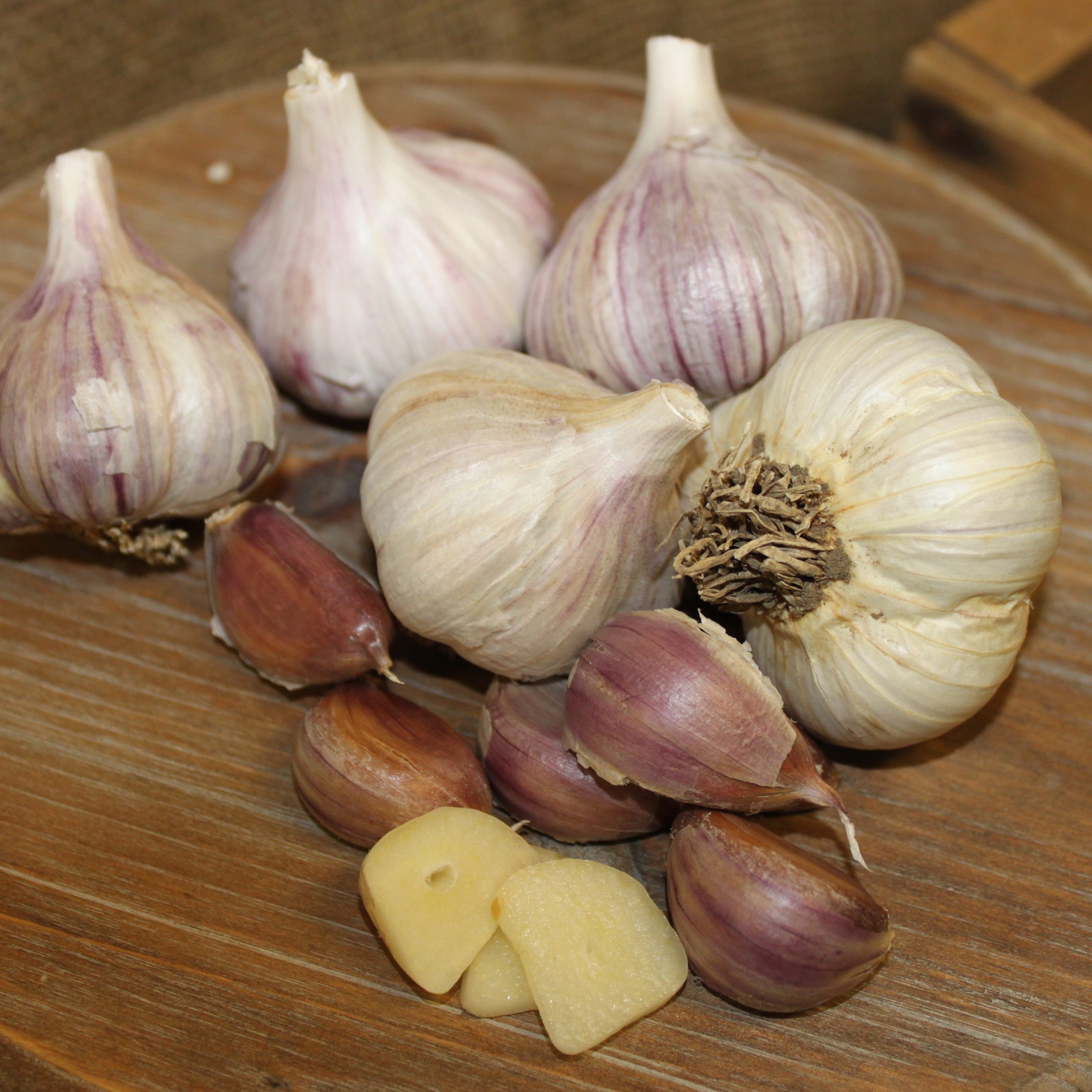 Spanish Roja Garlic