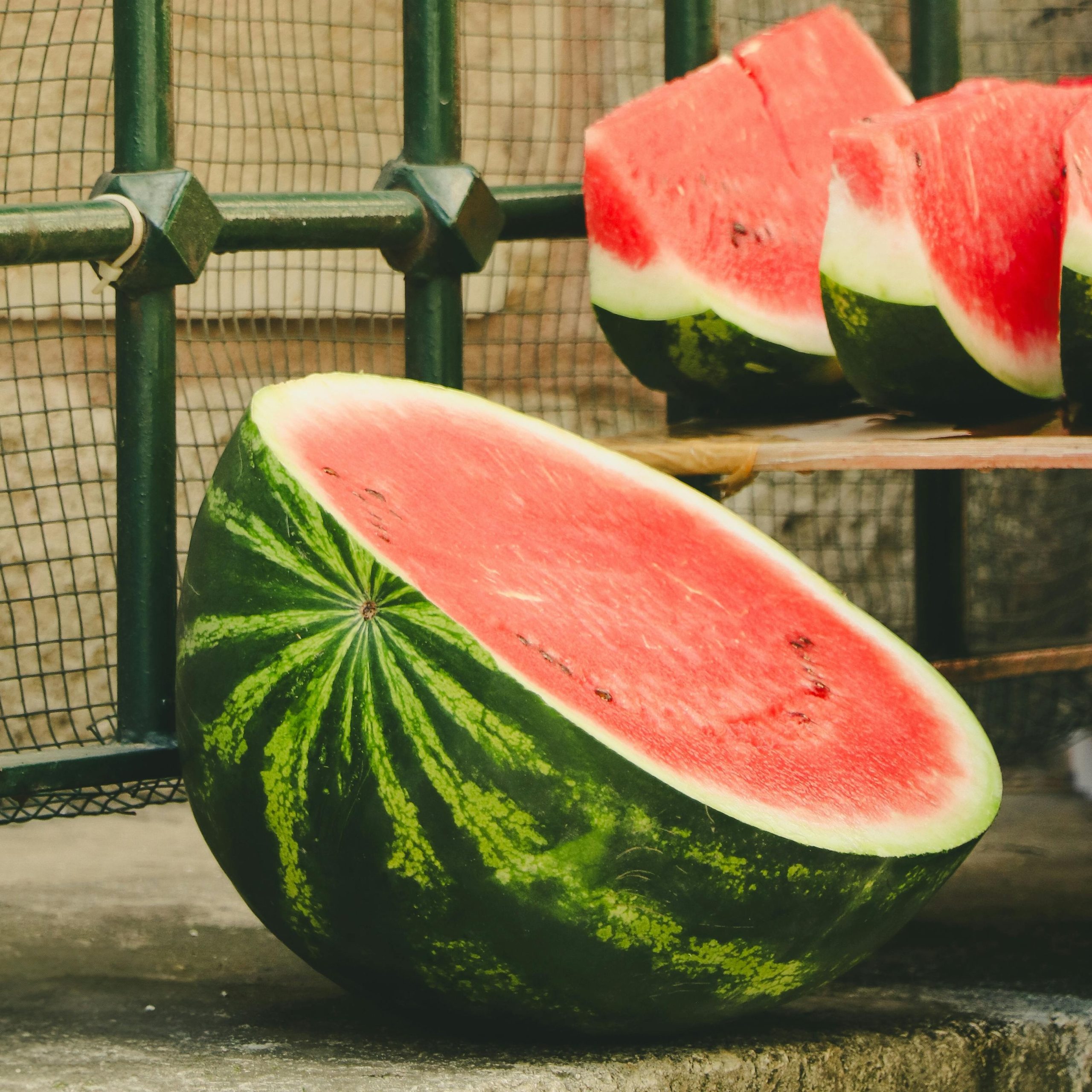 OG Crimson Sweet Watermelon
