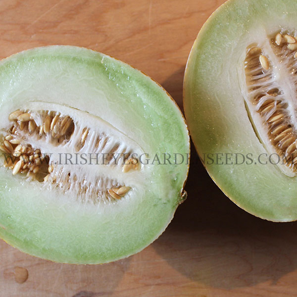 OG Rocky Ford Honeydew