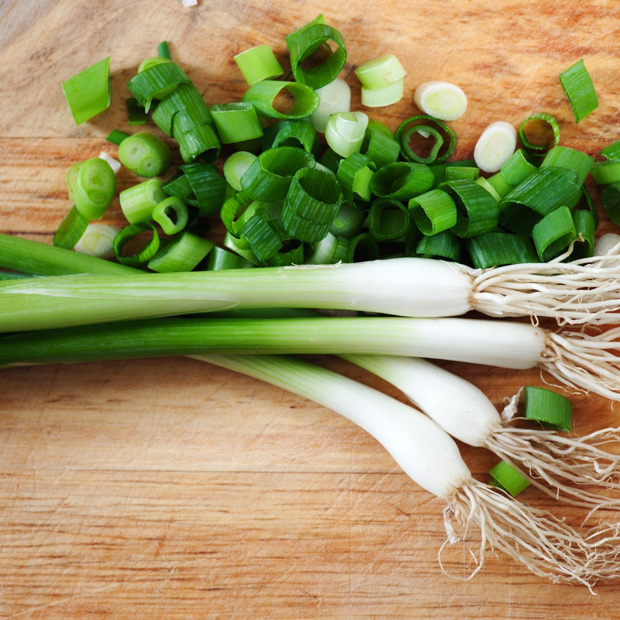 OG Evergreen Bunching Onion