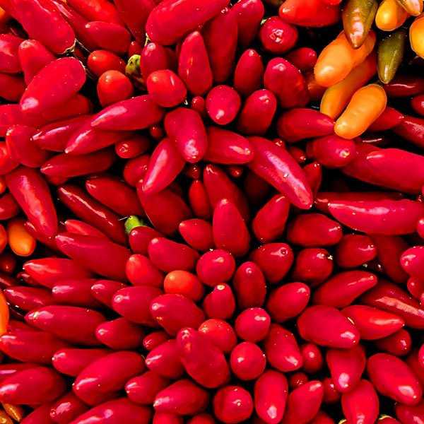 OG Karlo Pepper