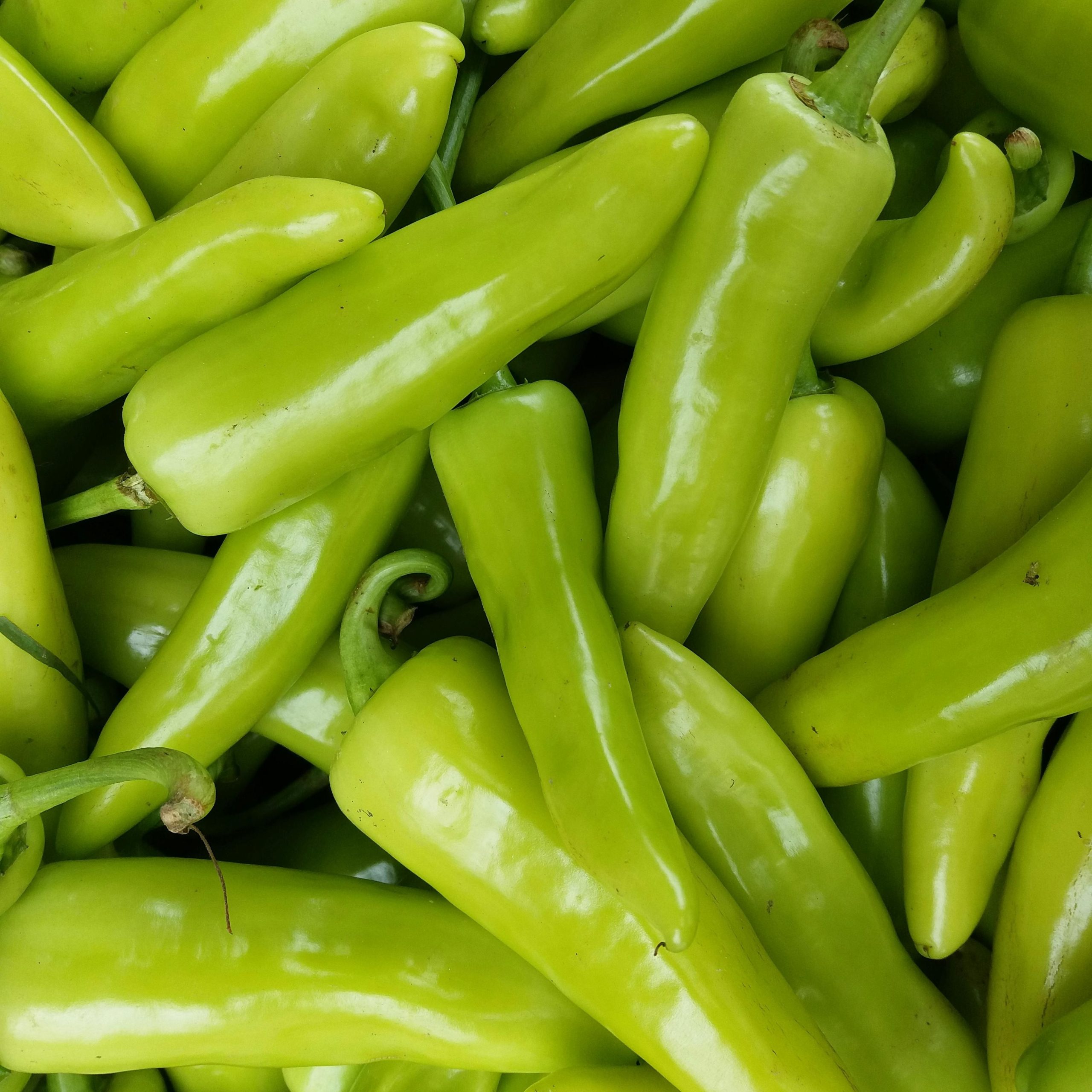 OG Hungarian Wax Pepper