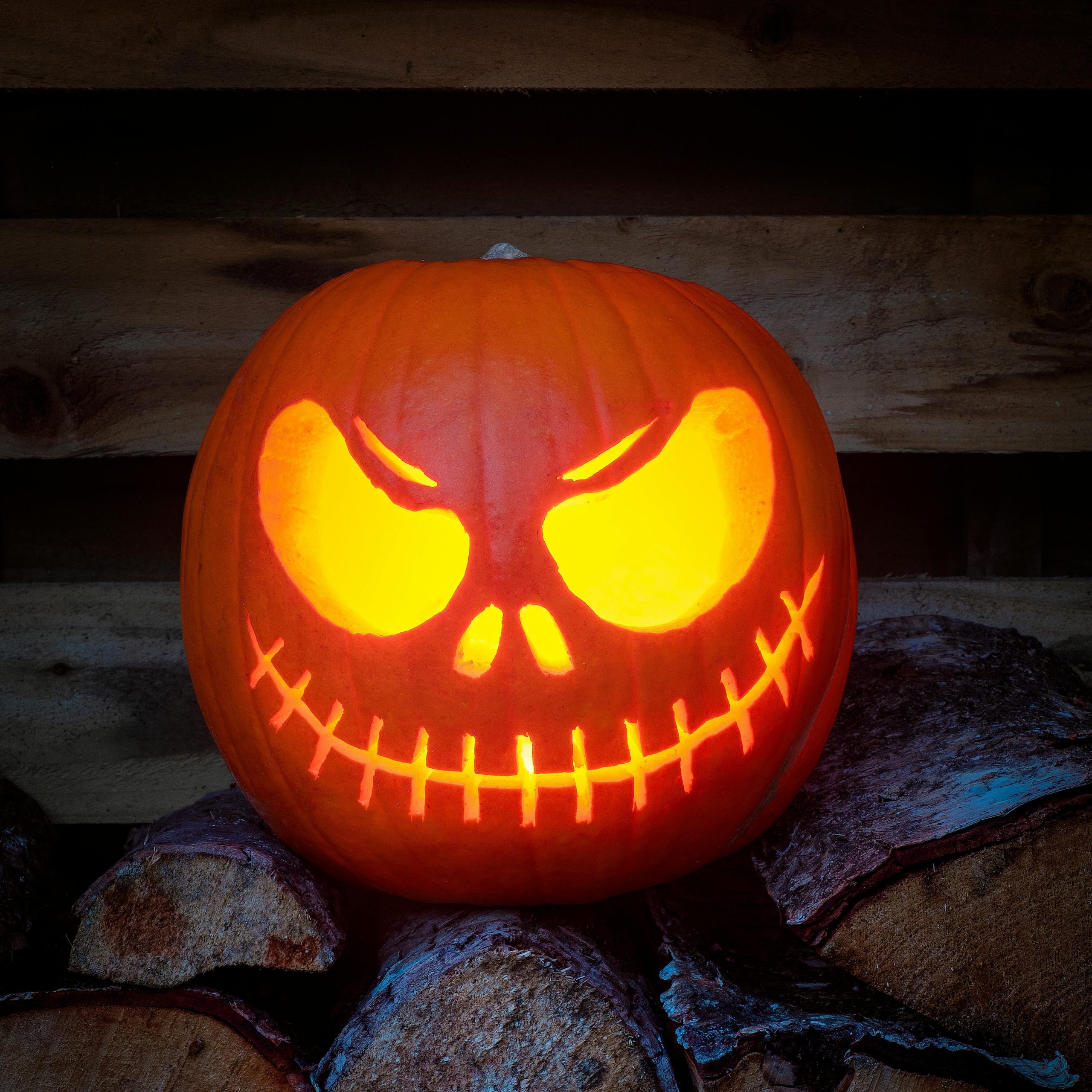 OG Jack-O-Lantern Pumpkin