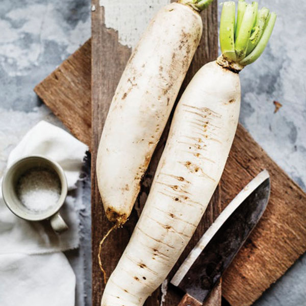 OG Daikon Radish
