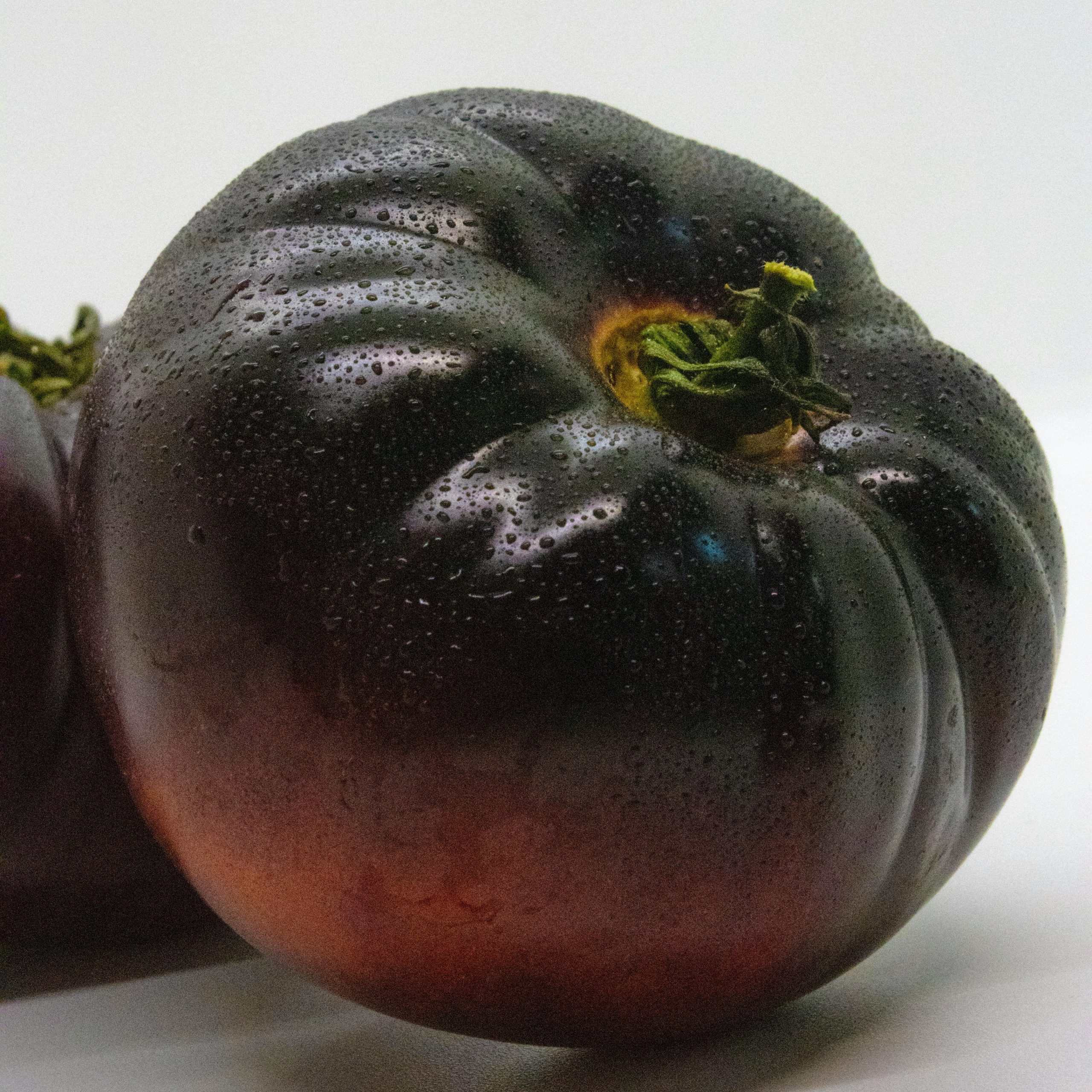 OG Black Krim Tomato