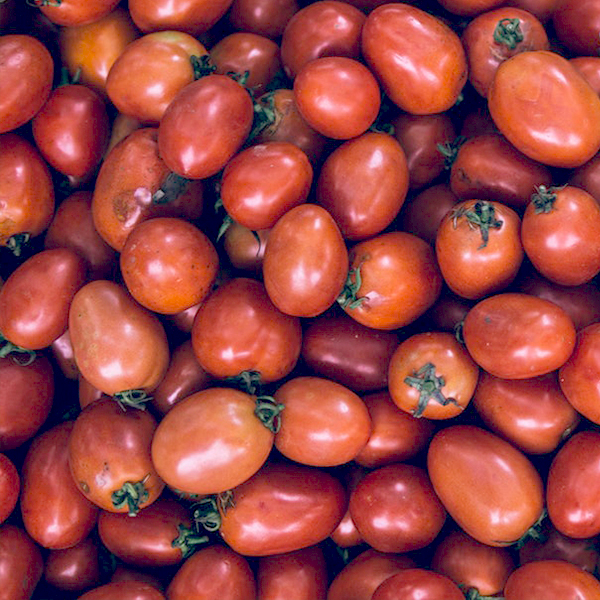 OG Saucy Paste Tomato